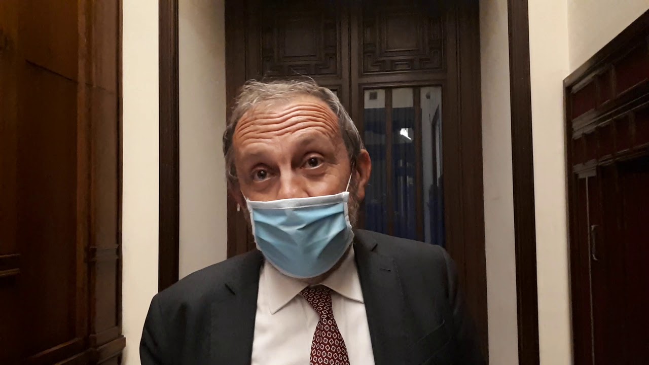 Stefano Ceccanti con mascherina