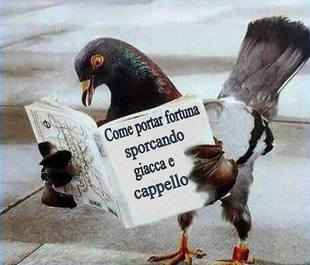 i piccioni ‘cagano’ in testa al proletario come all’imprenditore, al ricco come al povero